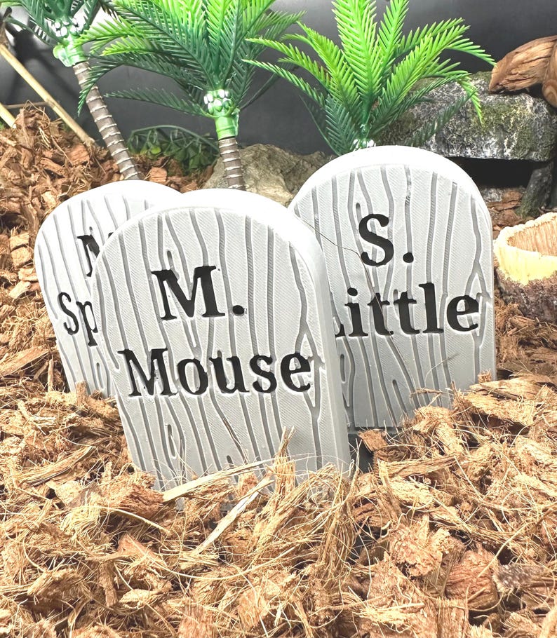 Snake Enclosure Graves l snake tank decor, snake enrichment, spooky snake, terrarium decor, ball python accesories image 3