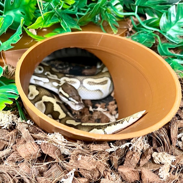 Burrow Buddy Snake Hide