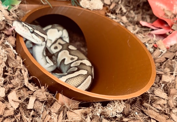 Burrow Buddy Snake Hide - Jumbo Size I Ball Python Hide, Hide for Larger Snakes