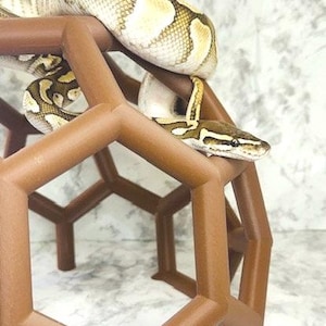 Python Playground EPIC Snake Climbing Enrichment, adult ball python enrichment, large snake jungle gym