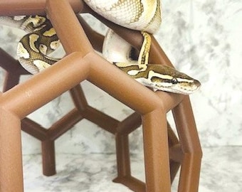 Python Playground EPIC Snake Climbing Enrichment, adult ball python enrichment, large snake jungle gym