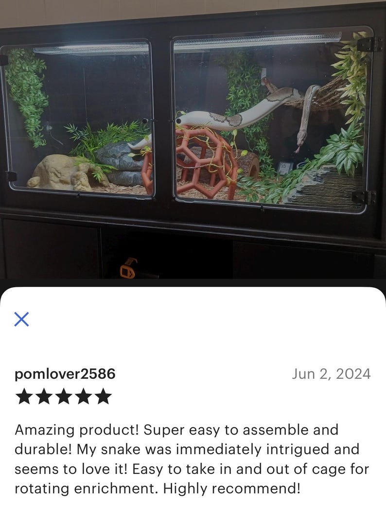 Snake climbing dome ‘python playground epic’ 5-star review