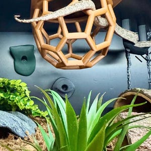 Python Playground MINI Snake Climbing Enrichment