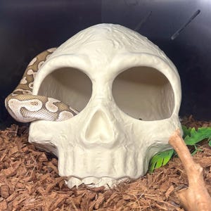 Skull Reptile Hide l snake hide, snake enrichment, reptile enrichment, large snake hide, ball python hide, blue tongue skink hide