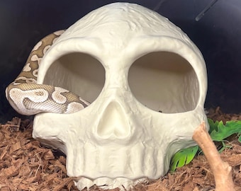 Piel de reptil con forma de calavera, piel de serpiente, enriquecimiento de serpientes, enriquecimiento de reptiles, piel de serpiente grande, piel de pitón bola, piel de eslizón de lengua azul