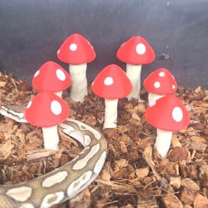 Snake Mushroom Maze l snake enrichment, ball python, corn snake, hognose enrichment
