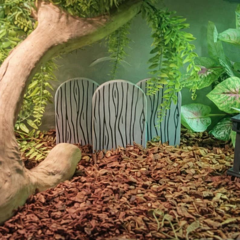 Snake Enclosure Graves l snake tank decor, snake enrichment, spooky snake, terrarium decor, ball python accesories image 4