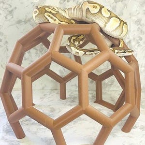 safe climbing enrichment for your adult ball python