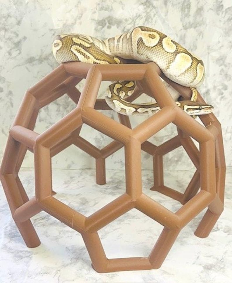 safe climbing enrichment for your adult ball python