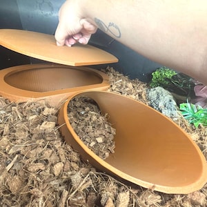 May include: Two brown, ceramic reptile hides with a textured surface. The hides are partially filled with brown coconut fiber.
