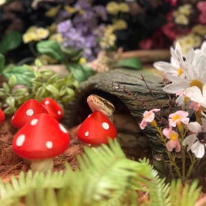 Snake Mushroom Maze l snake enrichment, ball python, corn snake, hognose enrichment