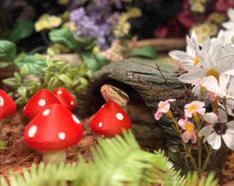 Snake Mushroom Maze l snake enrichment, ball python, corn snake, hognose enrichment