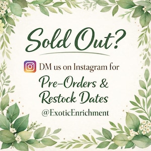 Python Playground EPIC Snake Climbing Enrichment, enriquecimiento para pitones bola adultas, gimnasio de jungla de serpientes grande imagen 19