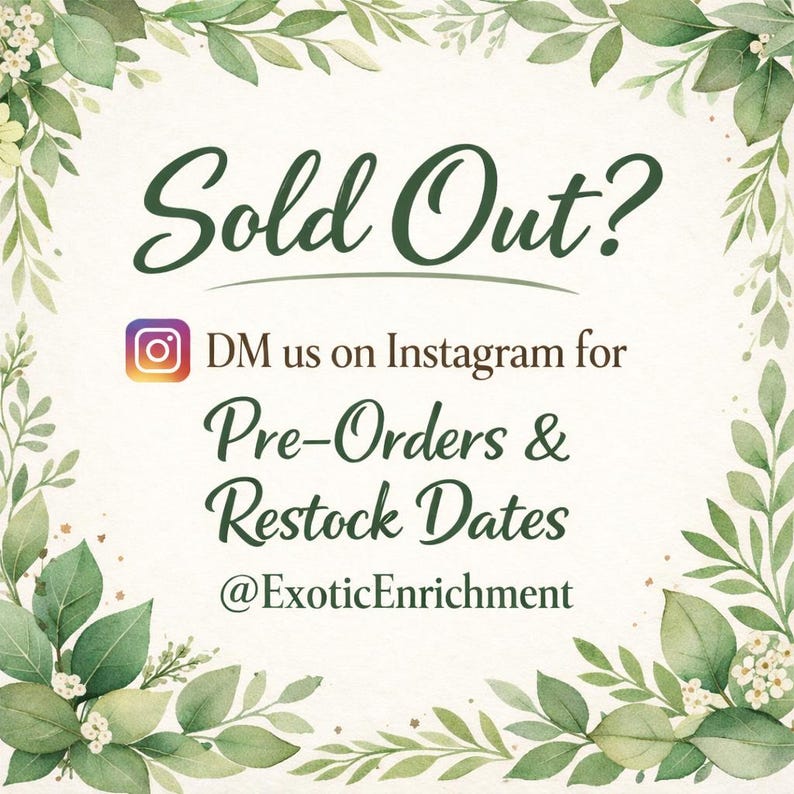 Python Playground EPIC Snake Climbing Enrichment, enriquecimiento para pitones bola adultas, gimnasio de jungla de serpientes grande imagen 19