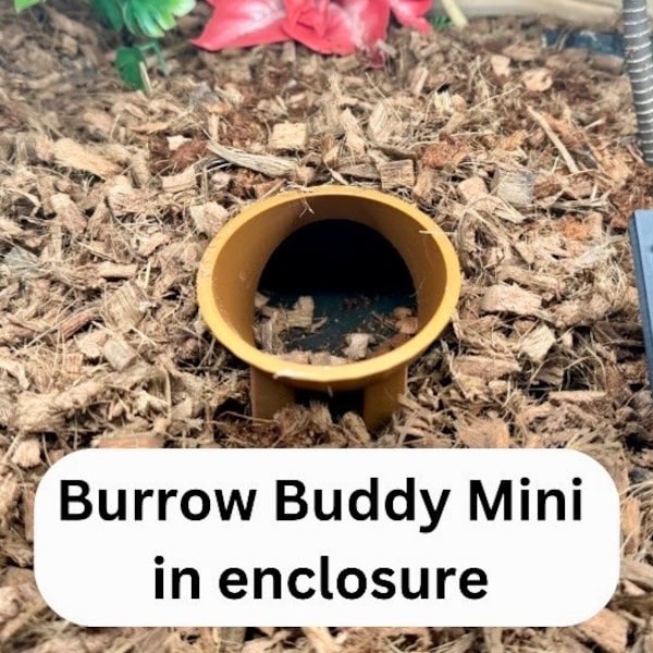 Burrow Buddy Snake Hide MINI