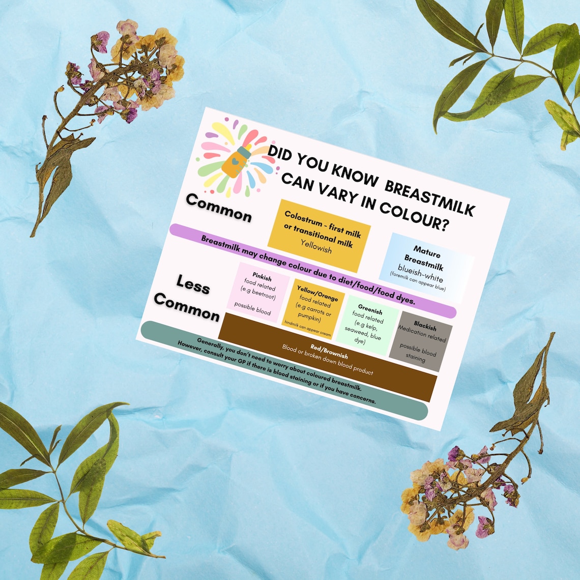 Breastfeeding Educational Printable PDF Handout | New Mum, Doula ...
