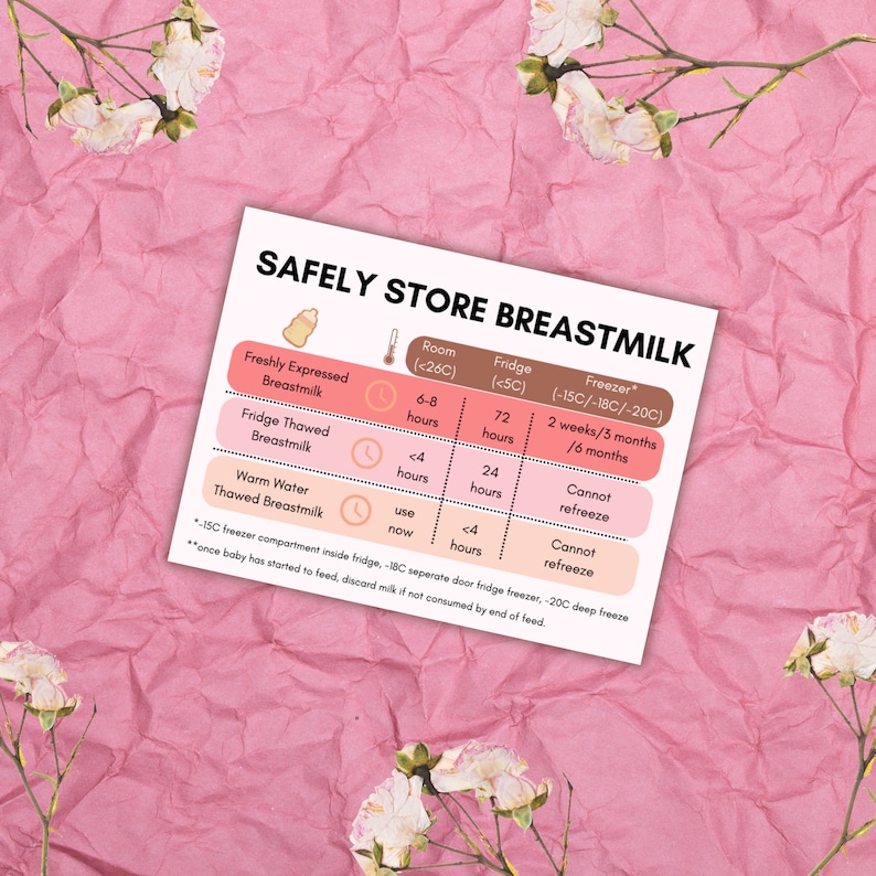 Breastfeeding Educational Printable PDF Handout New Mum, Doula