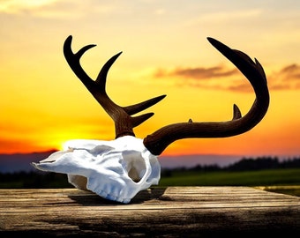 3D Printed Deer Skull Replica: Novelty & Life Size Decor