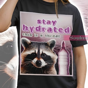 Retro Stay Hydrated Shirt, This Is A Threat Tshirt, Funny Raccoon Sweatshirt, Sarcastic Hoodie, Unisex Vintage 90s Tee
