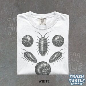 May include: A white t-shirt featuring a black ink illustration of five pill bugs in various positions, including some curled into spheres. The shirt has a Comfort Colors brand label at the neck and the text TRASH TURTLE APPAREL is visible.