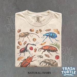 Vintage Weevils Shirt Cottagecore Insect Identification TShirt Nature Lover Sweatshirt Cute Bug Lover Graphic Tee