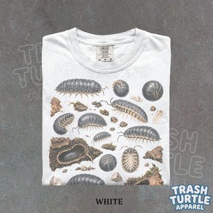 May include: A white t-shirt featuring a detailed graphic print of various woodlice in different positions, including curled and crawling states, interspersed with small rocks and moss textures. The shirt has a Comfort Colors brand neck label.