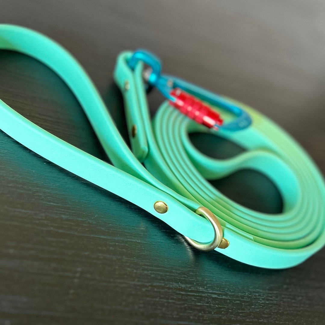 Biothane Leash, Seafoam Green - Etsy
