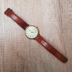 Steinhausen watch winder manual top