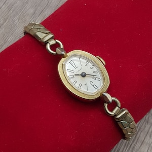 Timex Women's Mechanical Watch Stainless Steel Case
