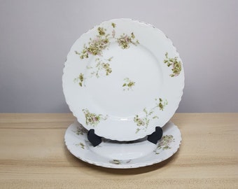 LS&S Carlsbad Austria Porcelain Plate with Floral Design and Scalloped Edge