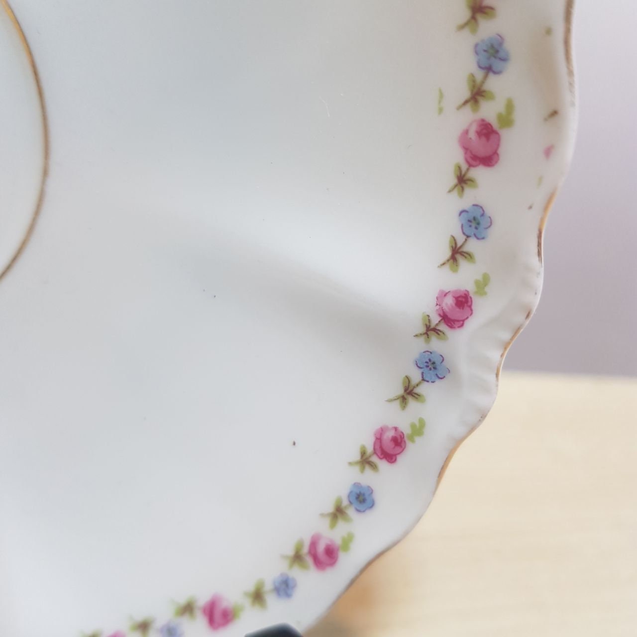 LS&S Carlsbad Austria Porcelain Saucer With Floral Rim and