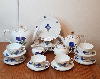 Seltmann Weiden, Schirnding Bavaria Blue Flower Vintage Tea Set