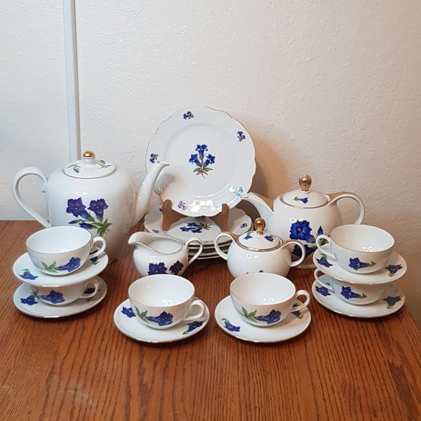 Seltmann Weiden, Schirnding Bavaria Blue Flower Vintage Tea Set of 21 Pieces