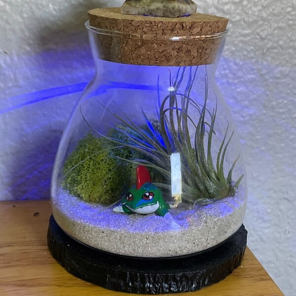 Terrarium Led Light Etsy