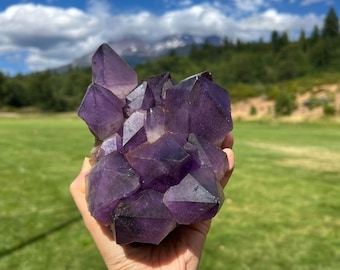 African Amethyst Cluster | High-Energy Natural Gemstone for Spiritual Growth and Inner Peace Limited Production Purified at Mt. Shasta AA007