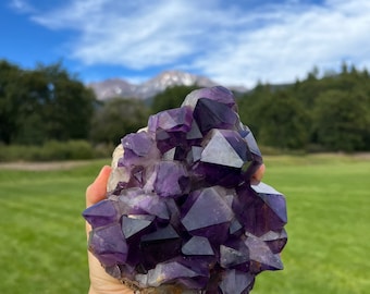 African Amethyst Cluster | High-Energy Natural Gemstone for Spiritual Growth and Inner Peace Limited Production Purified at Mt. Shasta AA002