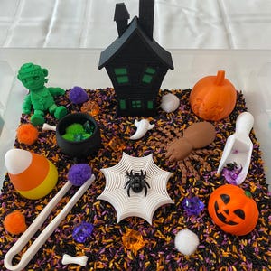 May include: A Halloween sensory bin with black rice, orange and purple sprinkles, and various Halloween-themed toys, including a black house, a spider web, a spider, a pumpkin, a ghost, a cauldron, a candy corn, a pair of tweezers, and a scoop.