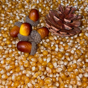Autumn Harvest Sensory Bin - Montessori Fall Play Kit for Kids ...