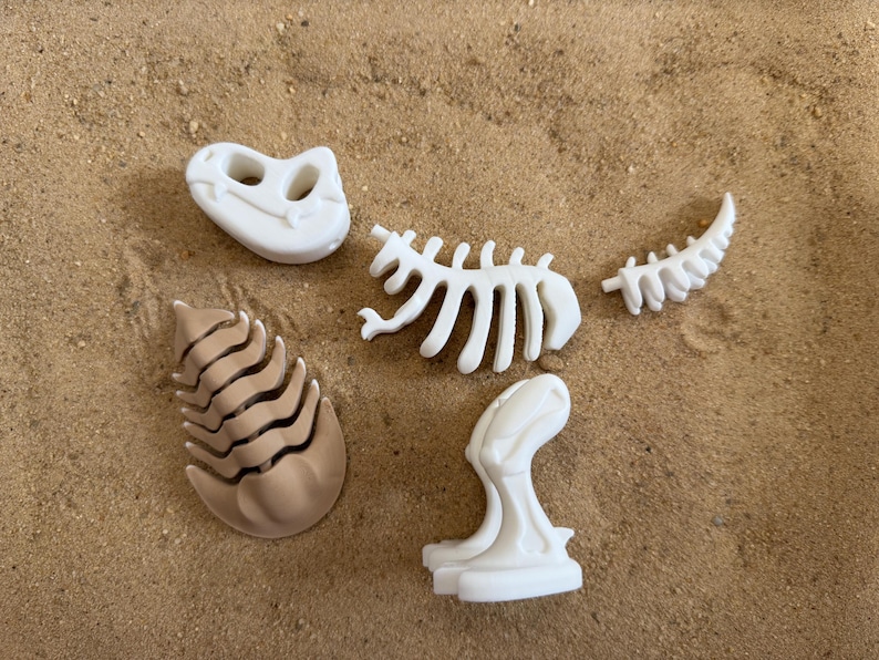Dinosaur Fossil Dig Sensory Bin - Montessori Excavation Activity Kit ...