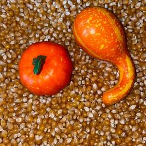 Autumn Harvest Sensory Bin - Montessori Fall Play Kit for Kids ...