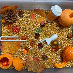 Autumn Harvest Sensory Bin - Montessori Fall Play Kit for Kids | Pretend Play | Flisat Filler | Busy Bin