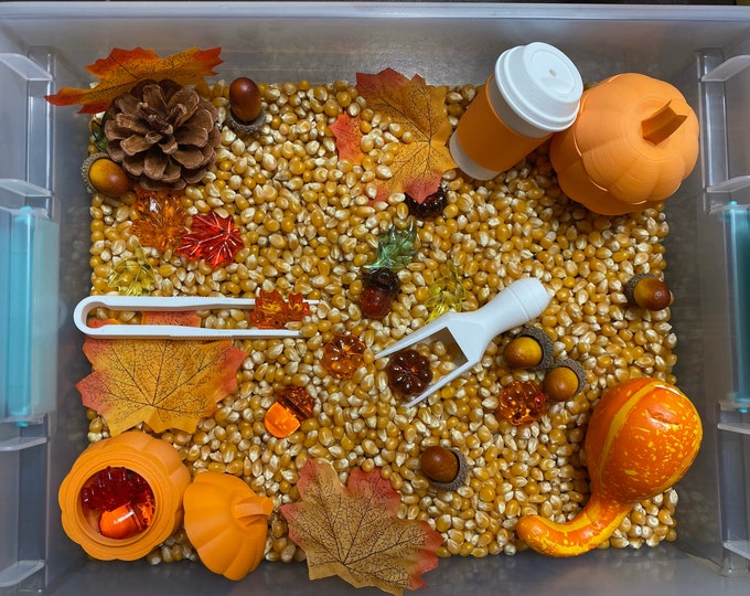 Autumn Harvest Sensory Bin - Montessori Fall Play Kit for Kids | Pretend Play | Flisat Filler | Busy Bin