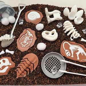 Dinosaur Fossil Dig Sensory Bin - Montessori Excavation Activity Kit ...
