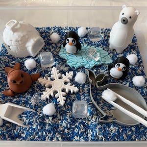 May include: A sensory bin with a winter theme. It contains a white igloo, a polar bear, two penguins, a brown seal, a snowflake, and other winter-themed toys. The base is blue and white rice.