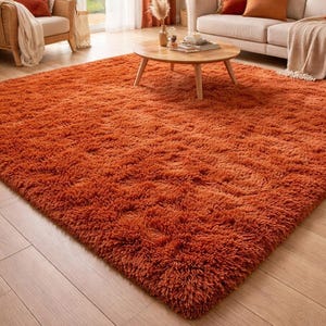 May include: A large, shaggy, orange rug dominates the foreground of a living room scene. The rug's texture is dense and plush. The room features a light-colored sofa with orange pillows, a wooden coffee table, and matching orange curtains.