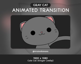 Chat gris mignon - Transition de flux animé | Transition Twitch, OBS, Actifs de flux, Stinger, Kawaii, Chat, YouTube, Chaton, Gris, Kitty, Gris