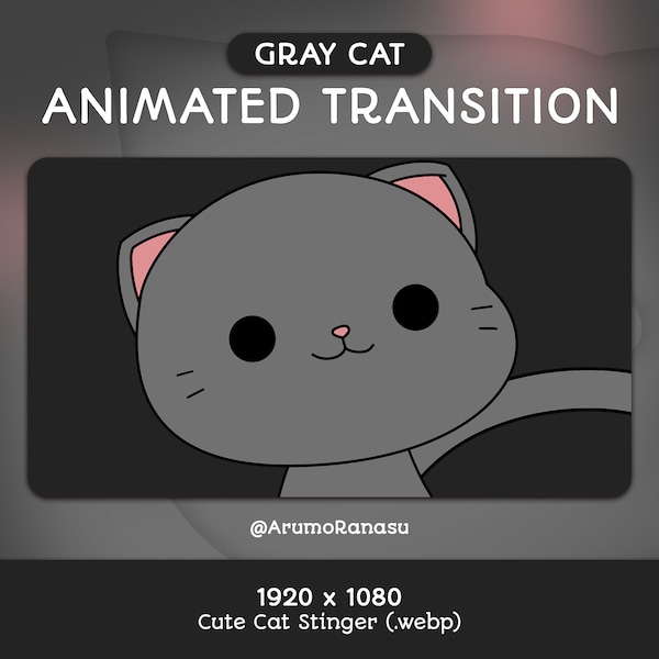 Cute Gray Cat - Animated Stream Transition | Twitch Transition, OBS, Stream Assets, Stinger, Kawaii, Cat, YouTube, Kitten, Gray, Kitty, Grey