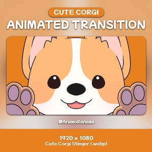 Könnte beinhalten: Animierte Grafik mit einem niedlichen Corgi-Hund mit weiß-orangefarbenem Fell, schwarzen Augen und einer rosa Zunge. Der Text "CUTE CORGI ANIMATED TRANSITION" wird über dem Corgi angezeigt. Das Bild ist 1920 x 1080 Pixel groß.