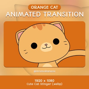 Cute Orange Cat - Animated Stream Transition | Twitch Transition, OBS, Stream Assets, Stinger, Kawaii, Cat, YouTube, Kitten, Orange, Kitty