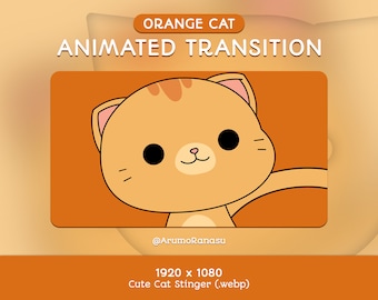 Orange Cat Stream Transition: Animated Twitch Stinger